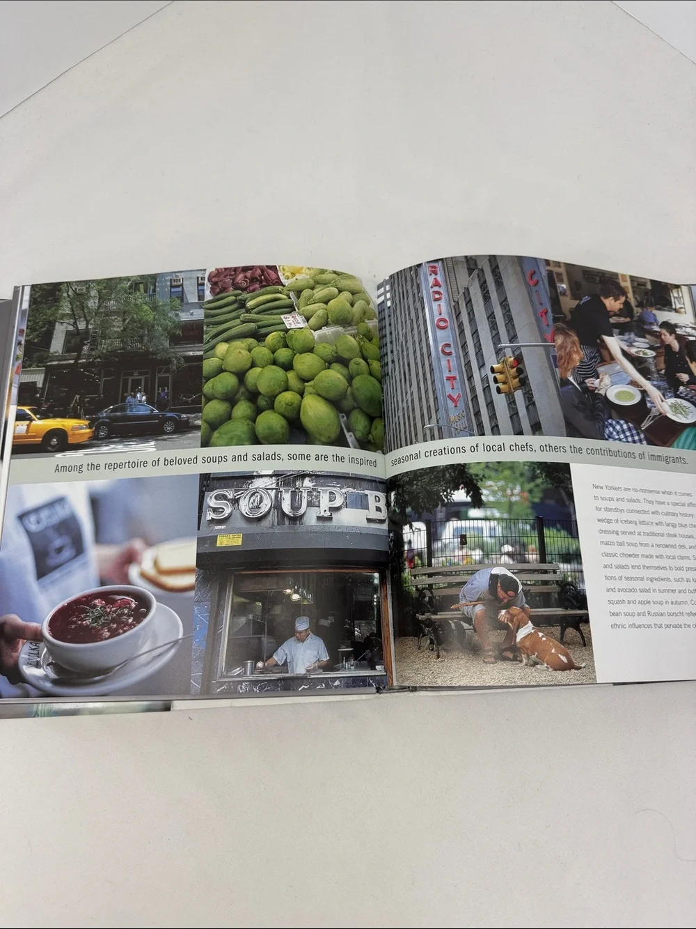 Williams-Sonoma New York Photo Recipe Book Celebrating Foods Of The World